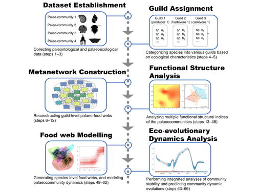 科學(xué)研究，技術(shù)先行——我校研究團(tuán)隊(duì)創(chuàng)新研發(fā)生態(tài)模擬方法體系