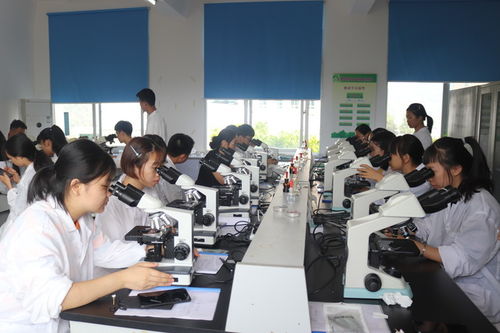 生物技術(shù)專業(yè)簡(jiǎn)介 前沿研究與創(chuàng)新開發(fā)