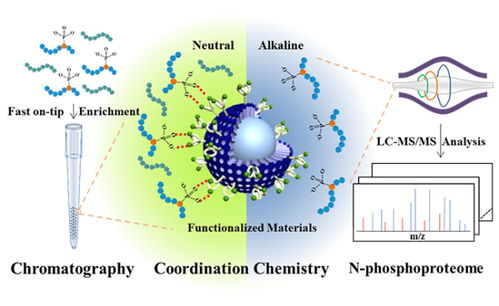 大連化物所開發(fā)n磷酸化蛋白質(zhì)組深度覆蓋分析新方法