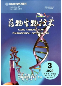 藥物生物技術(shù) 生物技術(shù)研究與開(kāi)發(fā)的創(chuàng)新引擎