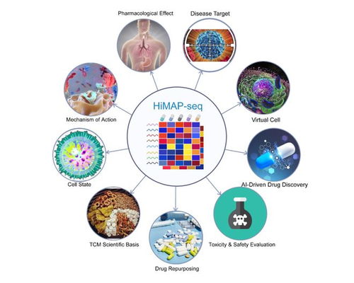 王棟、鄧赟與許俊泉團(tuán)隊(duì)開發(fā)HiMAP-seq新技術(shù)并構(gòu)建三億量級(jí)藥物基因表達(dá)數(shù)據(jù)庫(kù)CIGS，引領(lǐng)生物技術(shù)新前沿